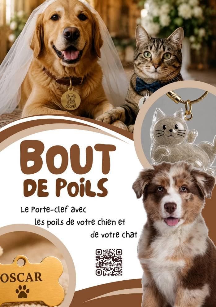 Bout de Poil : {{créer une marque de niche}} pour conquérir un nouveau marché